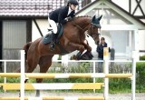Полный комплект наград завоевали калужские всадники на чемпионате и первенстве ЦФО по троеборью