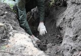 В городском парке Тарусы нашли старинные захоронения XVIII&ndash;XIX веков