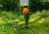 В Калужской области продолжают приводить в порядок памятники природы