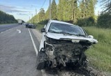 12-летняя девочка погибла в ДТП на калужской дороге