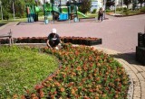 В Калуге до конца недели высадят почти 233 тысячи цветов