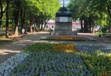 В Калуге до конца недели высадят почти 233 тысячи цветов