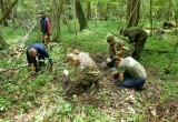 В "Калужских засеках" нашли останки советского летчика