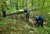 В "Калужских засеках" нашли останки советского летчика