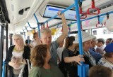 Калужан прокатили на "Литературном троллейбусе" вместе с Пушкиным и Гончаровой