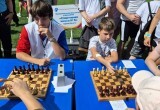 В Калуге День физкультурника отметили масштабным праздником в сквере Волкова