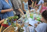 От вишни и жимолости до одуванчиков до огурцов: в парке прошёл праздник "Калужское варенье"