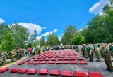 В Калужской области нашли останки 109 бойцов Красной Армии