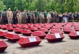 В Калужской области нашли останки 109 бойцов Красной Армии