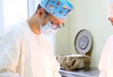 В Калужской области сокращается дефицит врачей