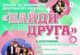 Новый друг уже ждёт: в Калуге проведут ярмарку по пристройству животных