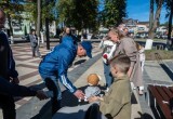 Людиново преображается: губернатор проверил объекты благоустройства