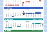 Названы даты школьных каникул на учебный год 2026-2027