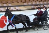 Калужанки взяли золото и серебро чемпионата России по конному спорту