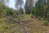 Калужские энергетики восстанавливают электроснабжение после непогоды