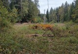 Калужские энергетики восстанавливают электроснабжение после непогоды