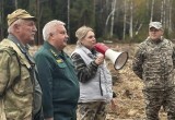 Шесть тысяч саженцев дали старт новому сосновому лесу в Калужской области 