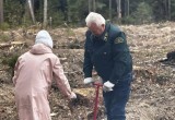 Шесть тысяч саженцев дали старт новому сосновому лесу в Калужской области 