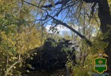 Годовалый малыш погиб при столкновении "Шкоды" и КАМАЗа на калужской дороге