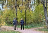 В Губернском парке в Калуге появится новое освещение для вечерних прогулок