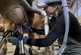 С восьми лет за рулём трактора: фермерша из Боровского района вошла в топ-5 доярок России