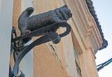 На улице Карпова в Калуге поселился кот-цветочник