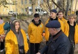 В Калуге высадили новые липы рядом с Палатами Коробовых