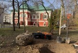 В Калуге высадили новые липы рядом с Палатами Коробовых