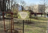 В Калуге высадили новые липы рядом с Палатами Коробовых