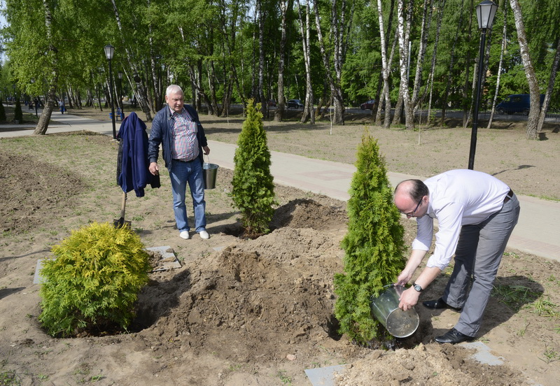 Деревья посадить на кладбище