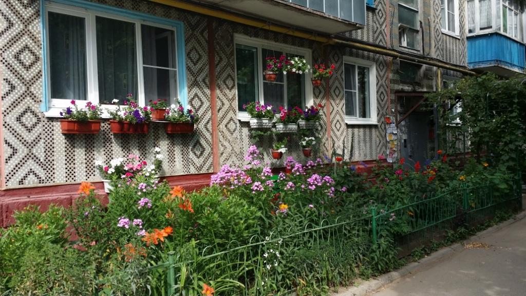 калуга, балкон, цветы