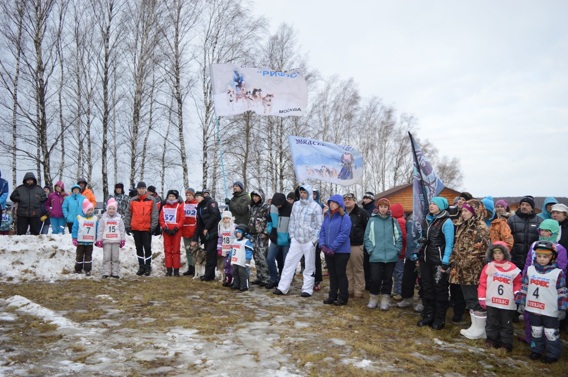 В Калужской области прошли гонки на собачьих упряжках